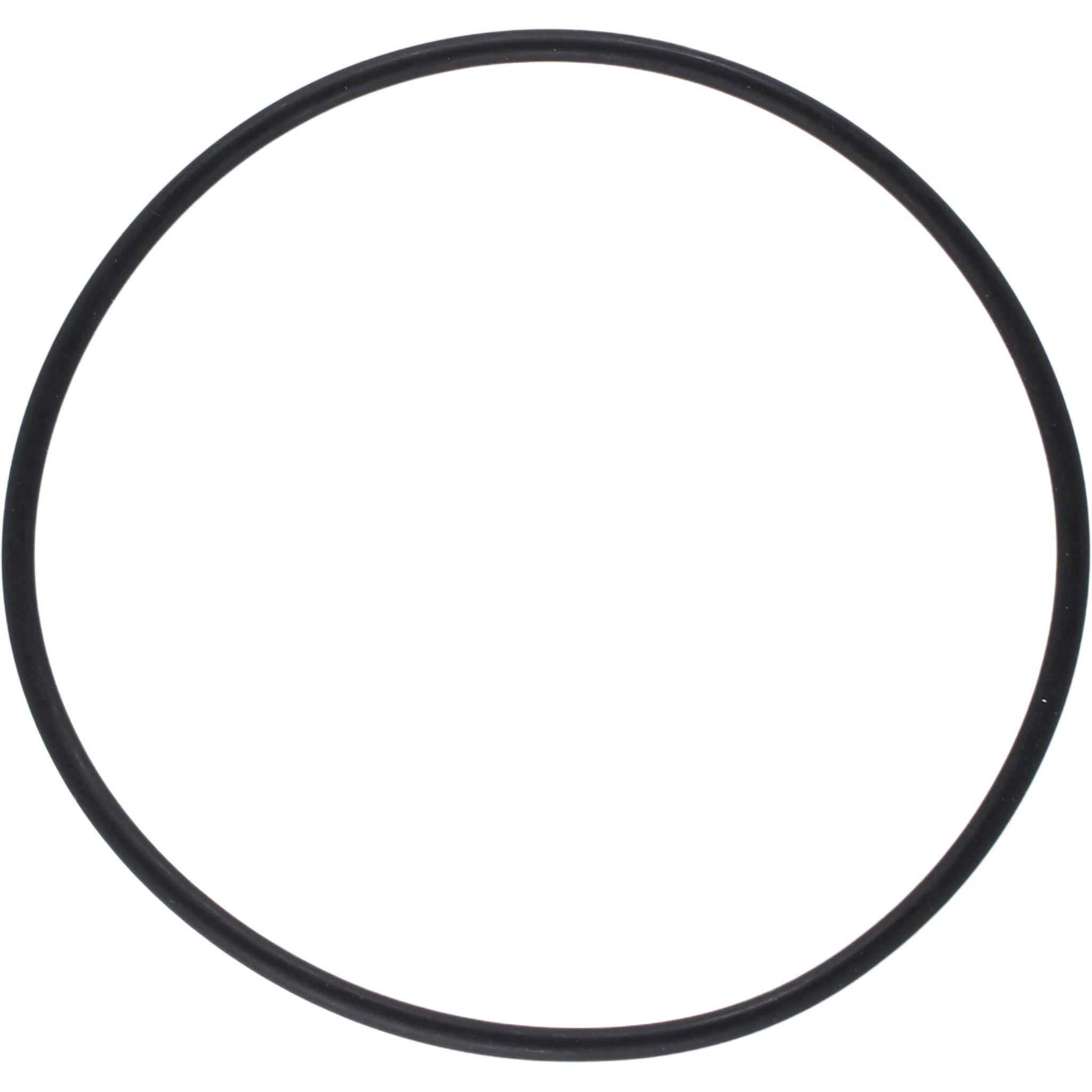 Gasket/o-ring for 3/4"(1007481)+ 1"(1007499) seawater felt