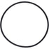 Gasket/o-ring for 3/4"(1007481)+ 1"(1007499) seawater felt