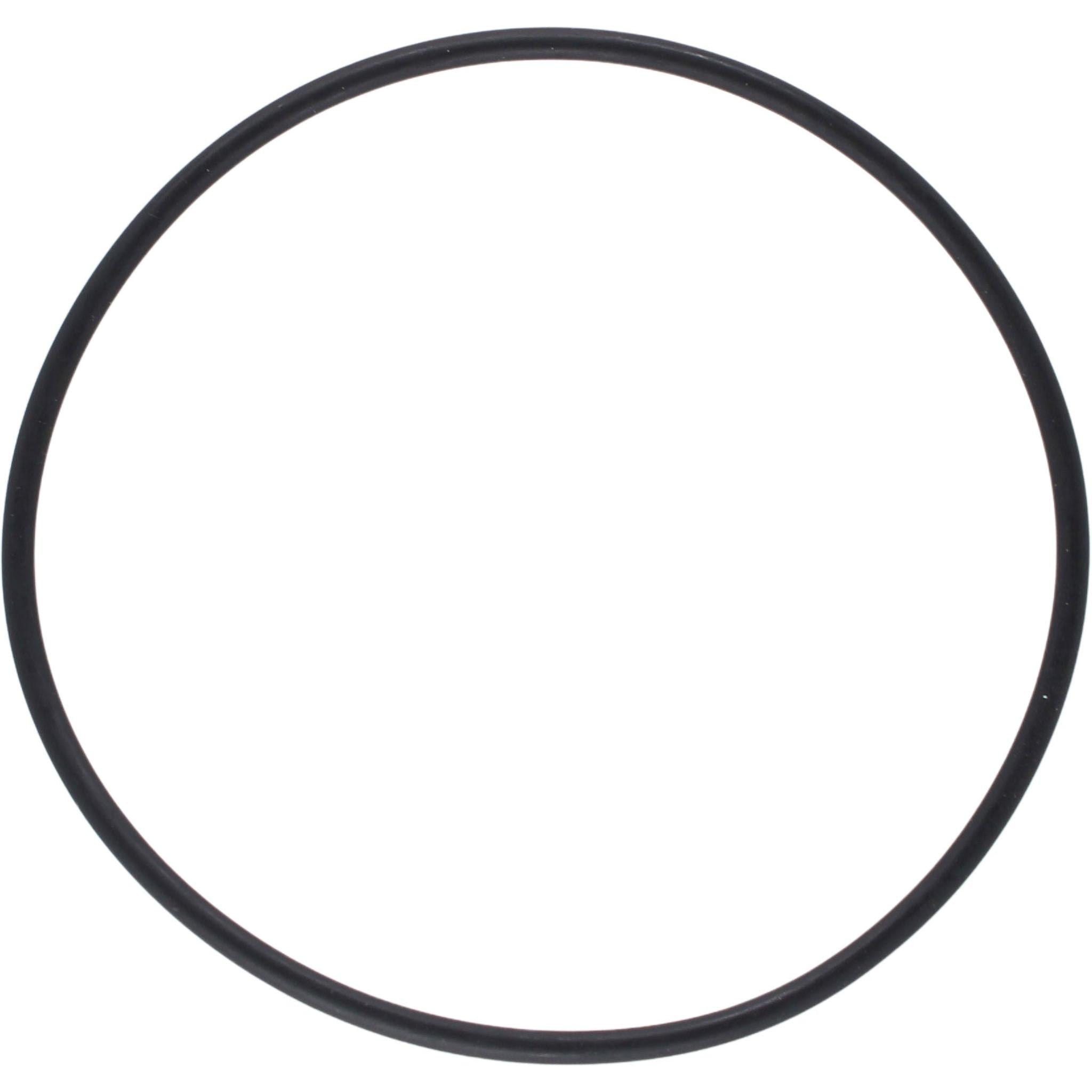 Gasket/O-ring for seawater filter 1007485/87