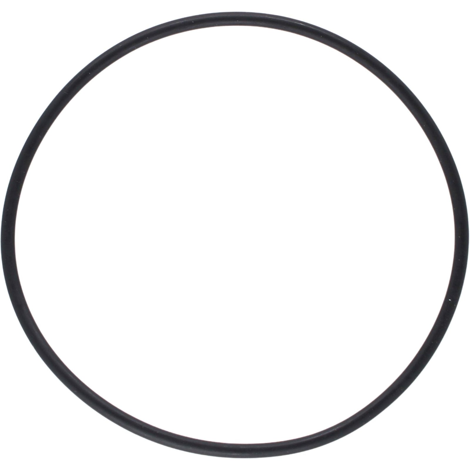 Gasket/O-ring for seawater filter 1007485/87