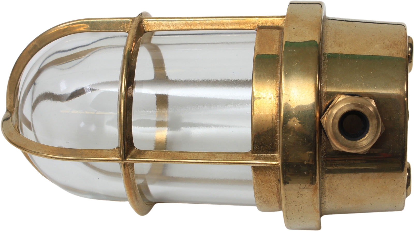 Ceiling lamp turtle brass, electric