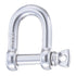 D - Shackle Mr, Wichard