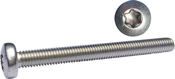 Acid-proof machine screws A4, pan head, torx
