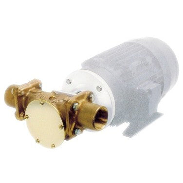 Jabsco Impeller Pump for 220V