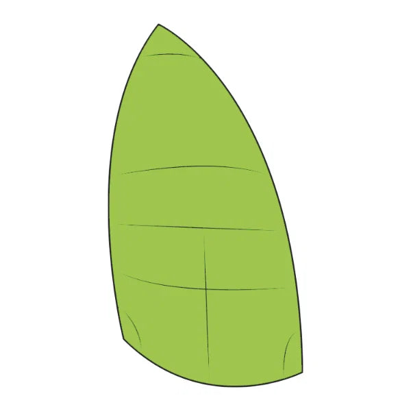 RS Quest Spinnaker