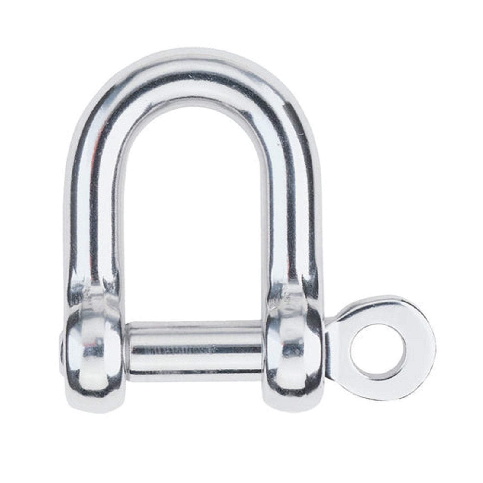 8mm D Shackle